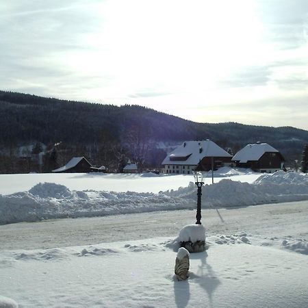 Hotel Rheingold Garni Titisee-Neustadt Exterior photo