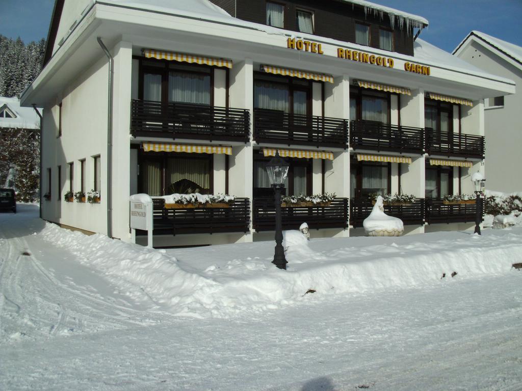 Hotel Rheingold Garni Titisee-Neustadt Exterior photo