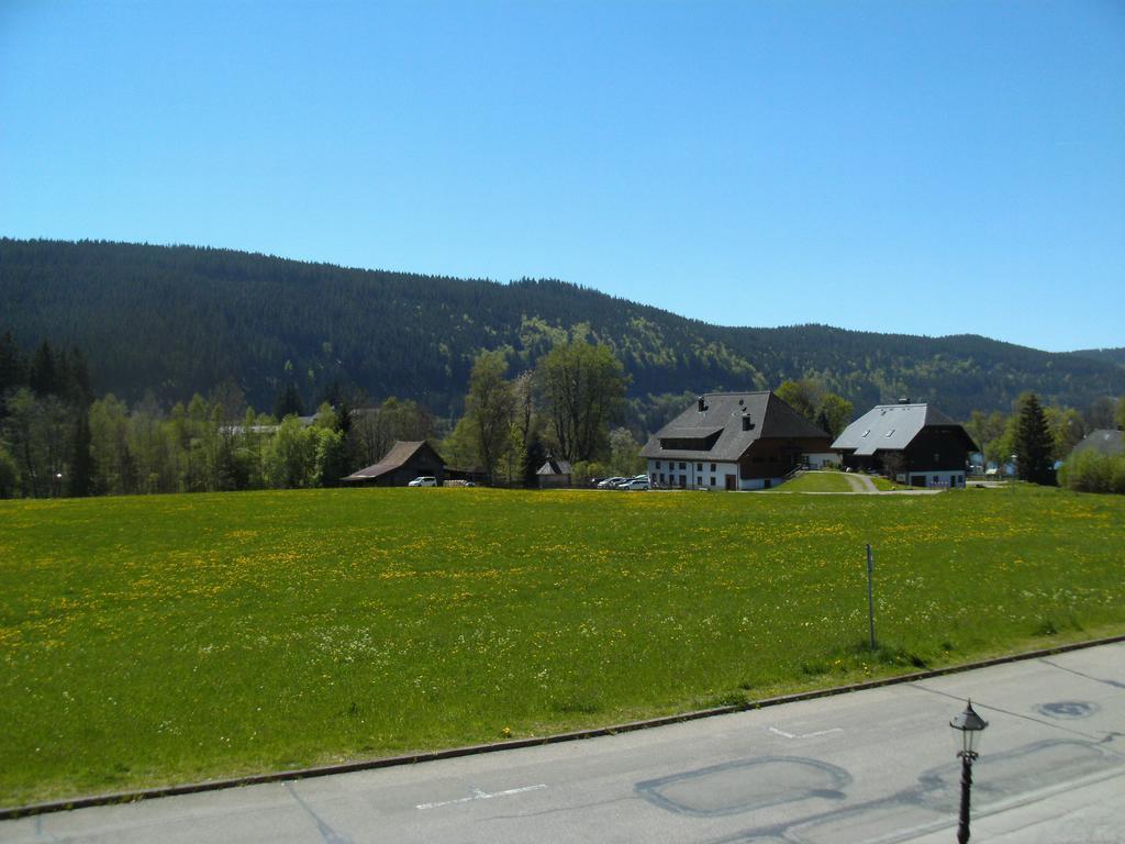 Hotel Rheingold Garni Titisee-Neustadt Exterior photo