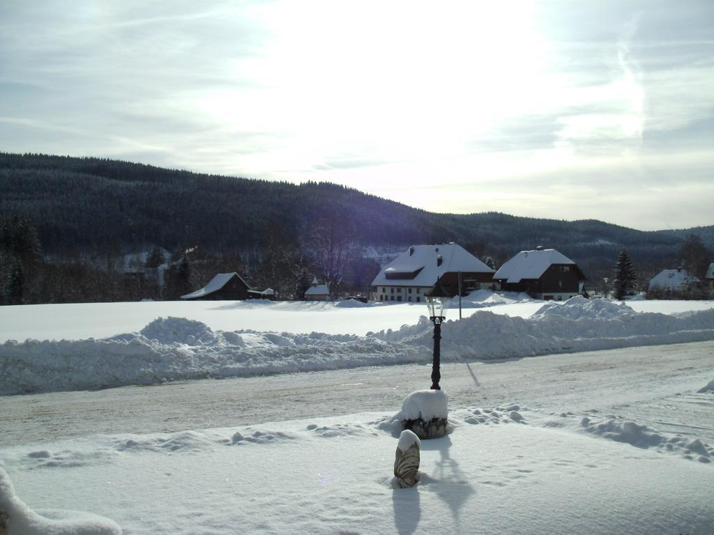 Hotel Rheingold Garni Titisee-Neustadt Exterior photo