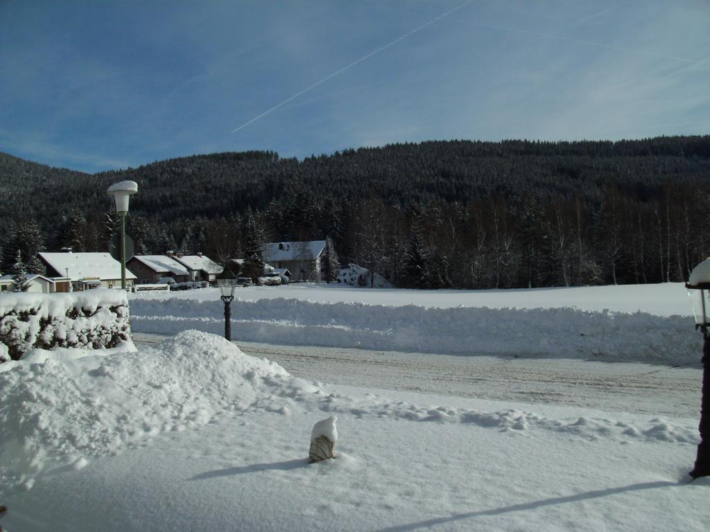 Hotel Rheingold Garni Titisee-Neustadt Exterior photo