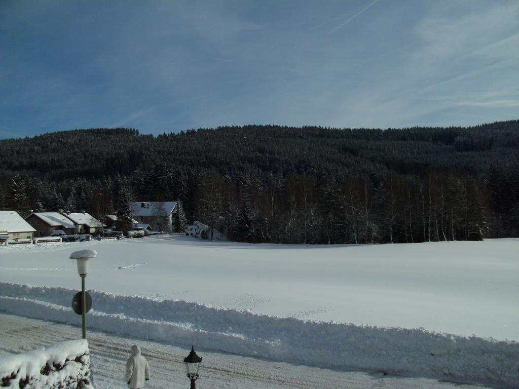 Hotel Rheingold Garni Titisee-Neustadt Exterior photo